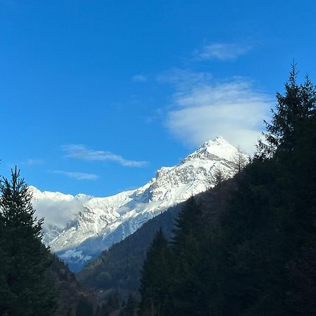 Casa Restelli Eg - Nahe Andermatt Gotthard Gurtnellen Eksteriør billede